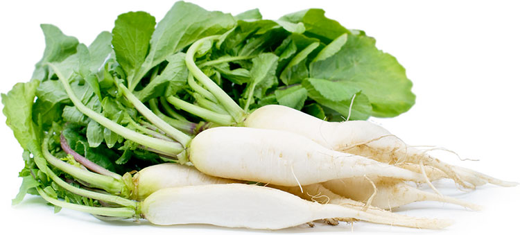 Picture 2 of Health benefits of radish