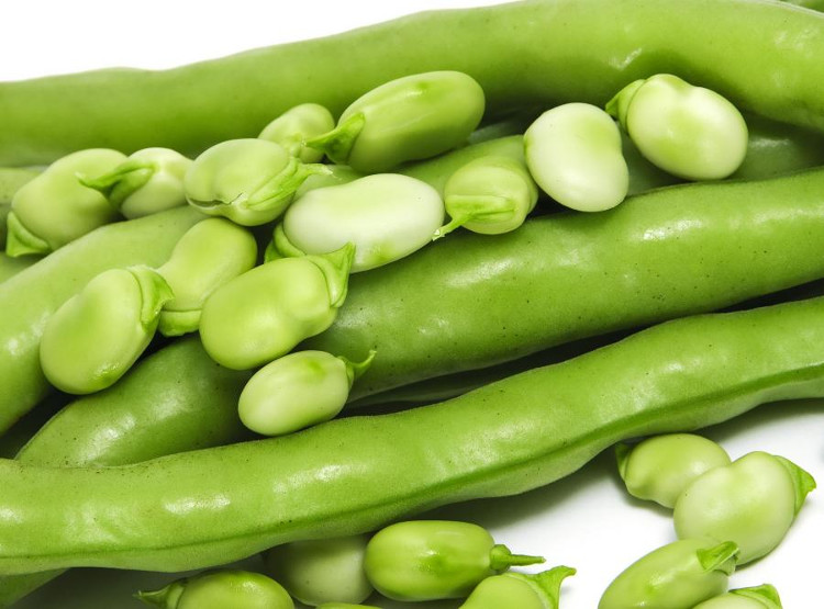 Picture 2 of Health benefits that few people know of green beans