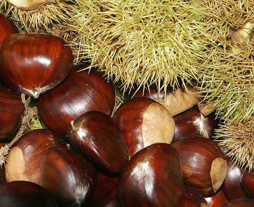 Picture 6 of Health-promoting foods in the winter