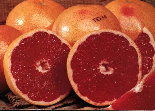 Picture 8 of Health-promoting foods in the winter