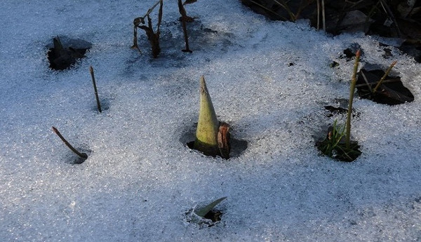 Picture 5 of Heat plants melt ice