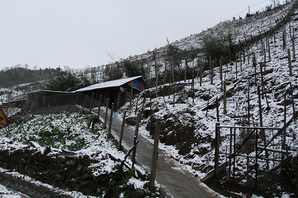 Picture 2 of Heavy snow at Silver Falls, O Qui Ho (Sa Pa)