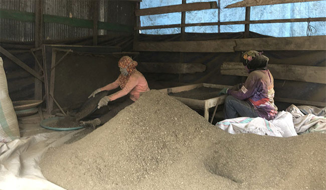 Picture 3 of 'Herbal Heroin' - Indonesian farmer's livelihood