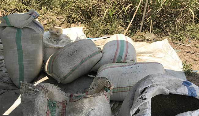 Picture 5 of 'Herbal Heroin' - Indonesian farmer's livelihood