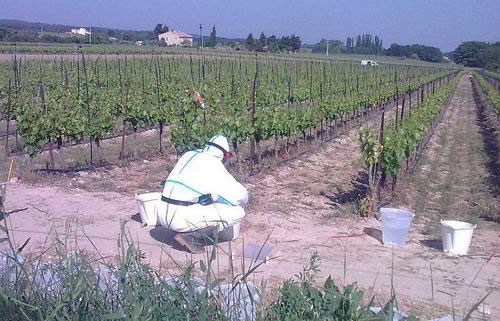 Picture 1 of Herbicides alter global ecosystems