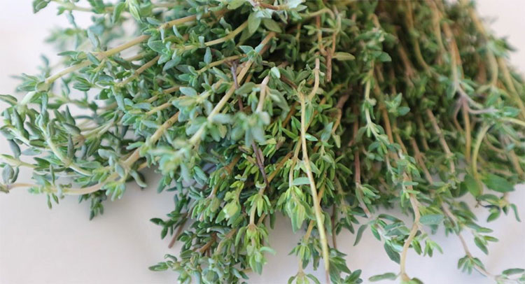 Picture 1 of Herbs have the ability to cure over 50 diseases