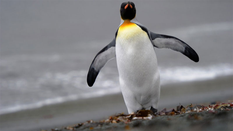 Here are 10 English words that are hard to pronounce the earth images 4