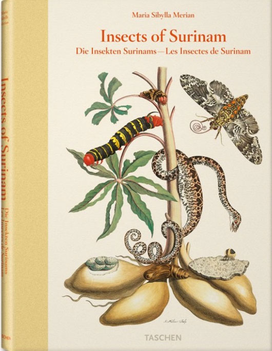 Picture 6 of Heroine of modern entomology