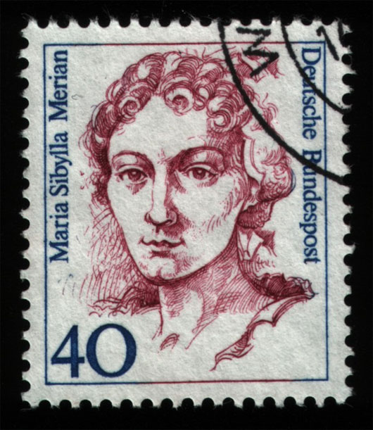 Picture 7 of Heroine of modern entomology