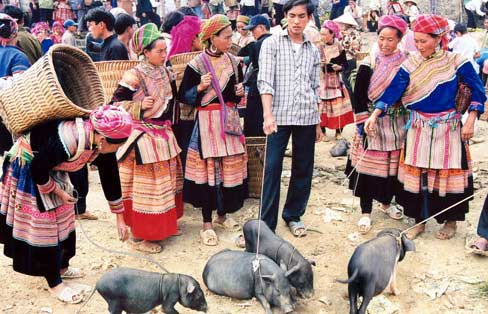 Picture 9 of Highland market - Bac Ha