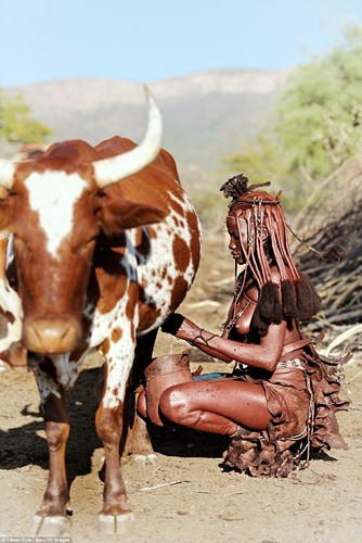 Picture 7 of Himba tribe has topless women in Africa