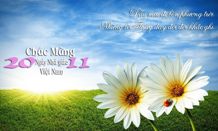 Picture 1 of History and meaning of Vietnamese Teachers' Day November 20