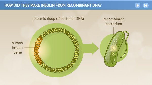 Picture 5 of History of nearly 100 of insulin - the source of life for people with diabetes