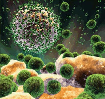 Picture 1 of HIV-infected people of monkeys
