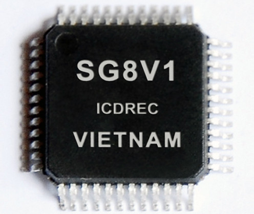 Picture 2 of Ho Chi Minh City developed the world's leading chip manufacturing technology