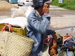 Picture 1 of Ho Chi Minh City: 'impartial' buying and selling poultry