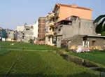 Picture 1 of Ho in Hanoi: Green lungs are gnawing
