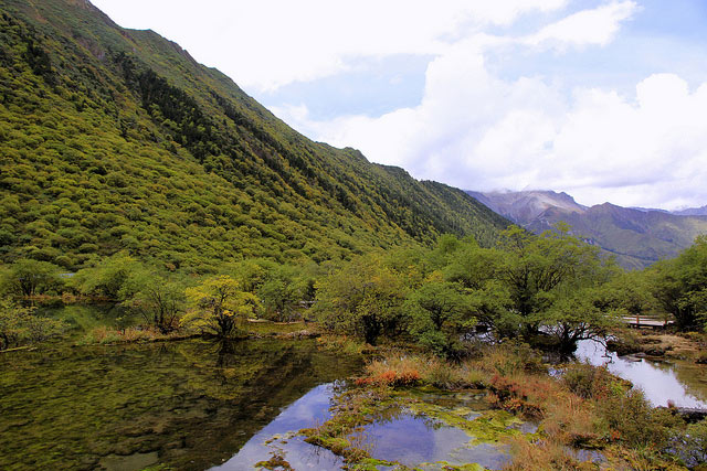Picture 11 of Hoang Long - China scenic area