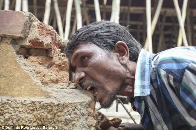 Picture 1 of Hóc hùng of the mutant eats 3kg of mud every day, chewing bricks like a bim