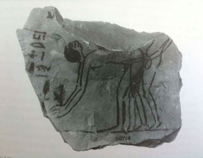 Picture 4 of Homosexuality in ancient Egypt