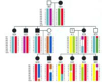 Hoping to have a safe genetic check images 2