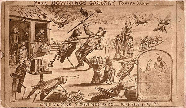 Picture 5 of Horror invasions of insects