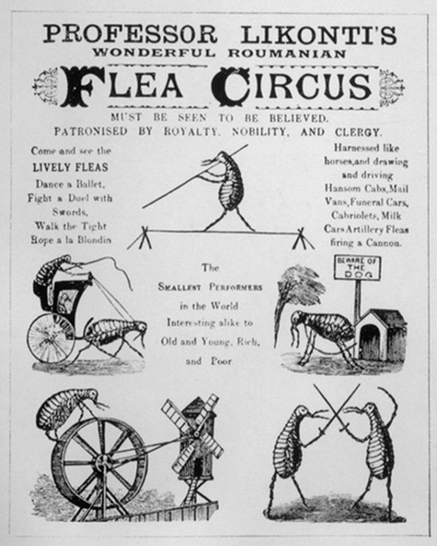 Picture 4 of 'Horror' pleasures of ancient people