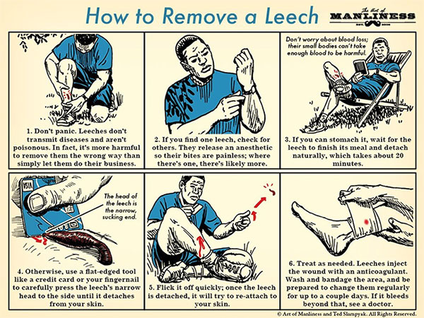 Picture 4 of Horror story is true: what will happen if the parasite leeches in the throat?