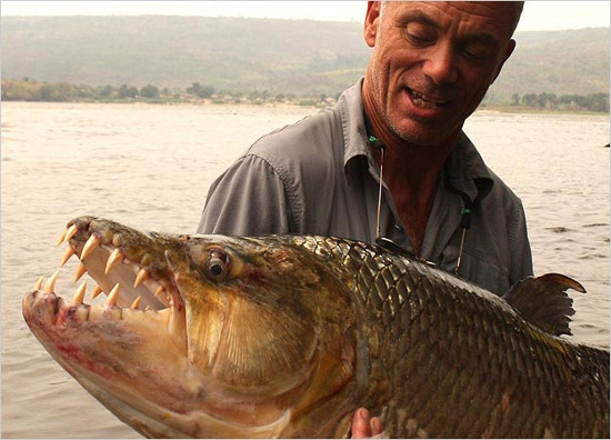 Picture 3 of Horror with 'freshwater monsters' riverbed