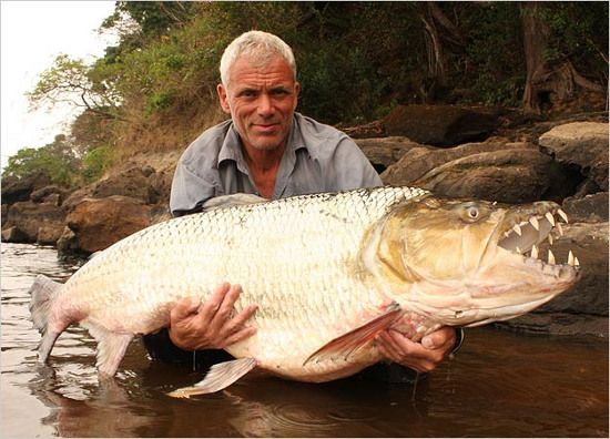 Picture 4 of Horror with 'freshwater monsters' riverbed