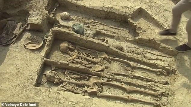 Picture 1 of Horseman remains in the tomb 1,500 years old