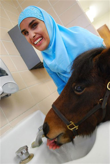 Picture 8 of Horses replace guide dogs