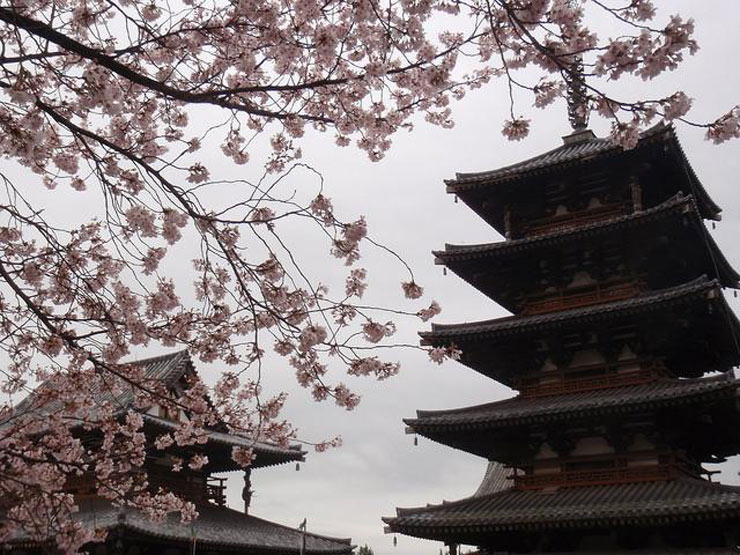 Picture 6 of Horyu-ji temple's Buddhist architectural complex