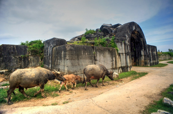 Picture 4 of Ho's Citadel - The unique building in Vietnam