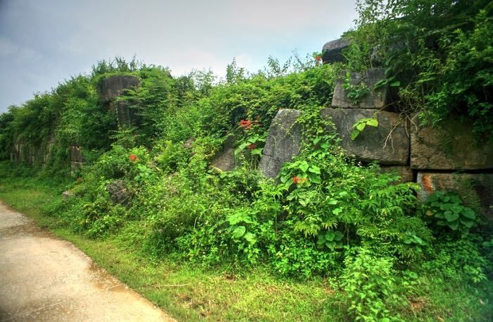 Picture 8 of Ho's Citadel - The unique building in Vietnam