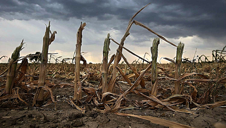 Picture 5 of Hot earth 2 degrees Celsius will have worse consequences than heating up only 1.5 degrees Celsius, why?