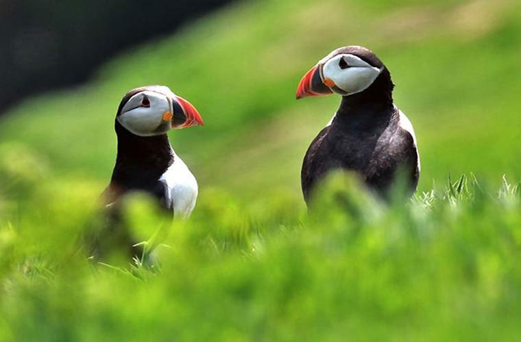 Picture 8 of Hot scenes of animals