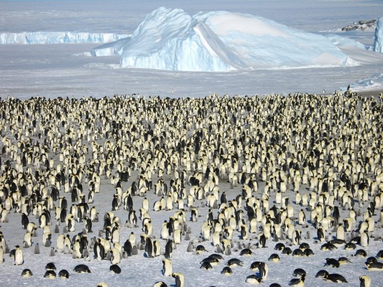 Picture 10 of Hotel in the wildest place on the planet