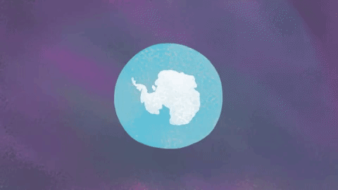 Picture 10 of How are Antarctic and Arctic different?