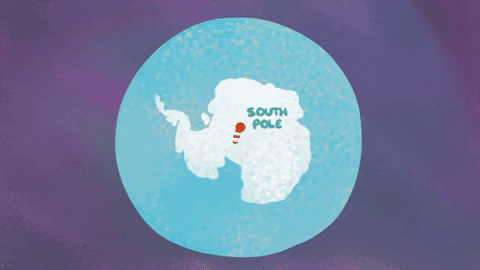 Picture 5 of How are Antarctic and Arctic different?