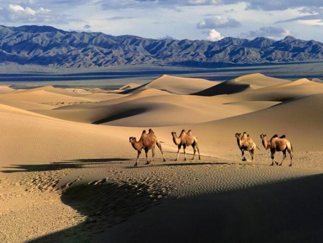 Picture 3 of How are different deserts and deserts?