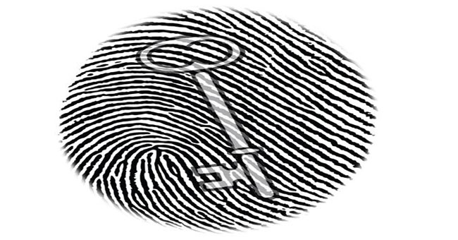 Picture 3 of How are fingerprints formed?