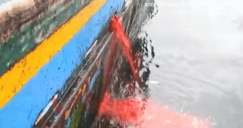 Picture 11 of How are people treating dolphin friends?