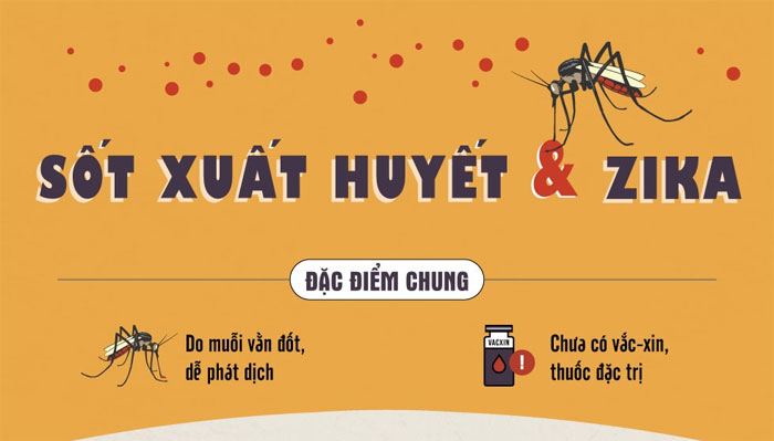 Picture 1 of How are Zika virus and dengue virus different?
