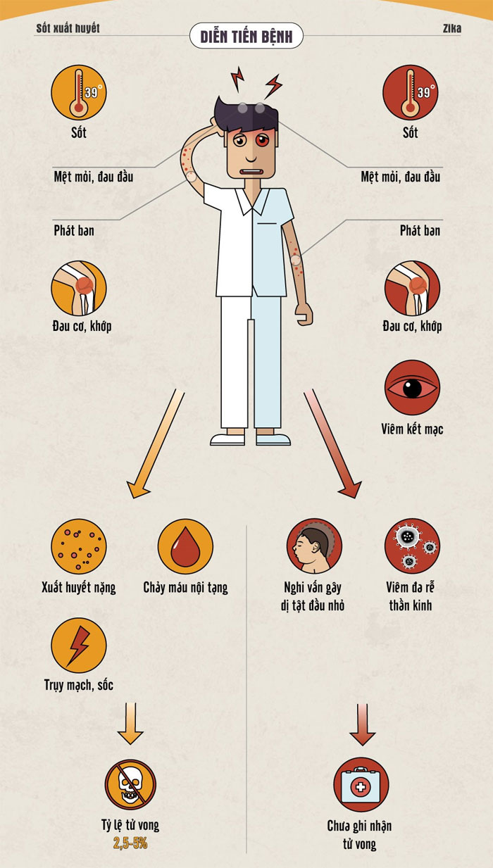 Picture 2 of How are Zika virus and dengue virus different?