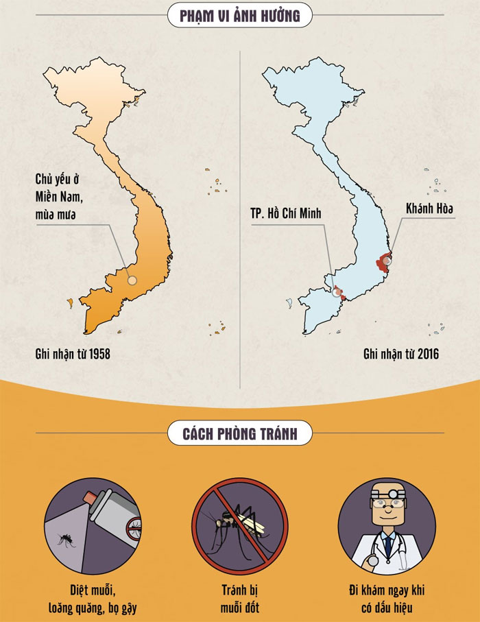 Picture 3 of How are Zika virus and dengue virus different?