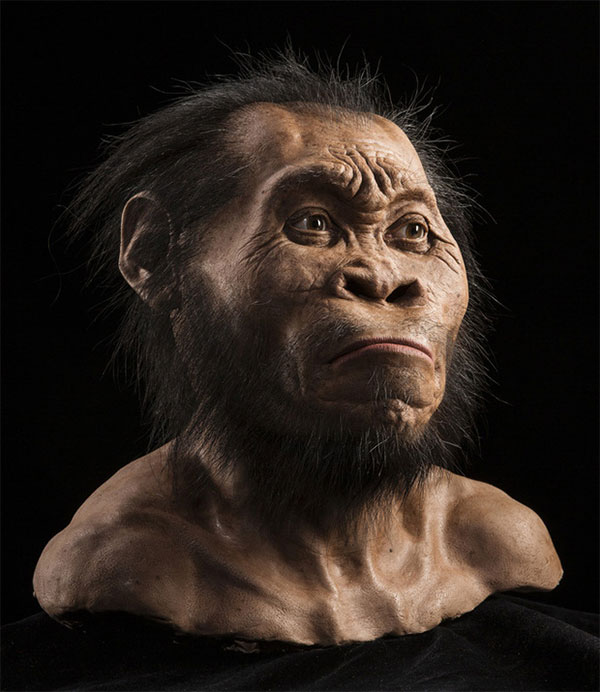 Picture 10 of How did the brothers of mankind disappear before the dawn of civilization?