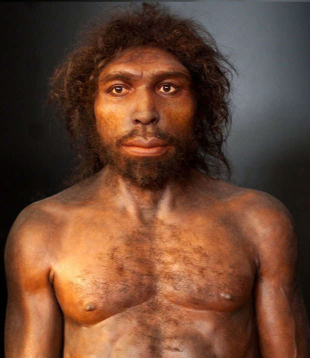 Picture 11 of How did the brothers of mankind disappear before the dawn of civilization?