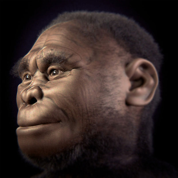 Picture 13 of How did the brothers of mankind disappear before the dawn of civilization?