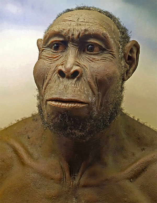 Picture 2 of How did the brothers of mankind disappear before the dawn of civilization?